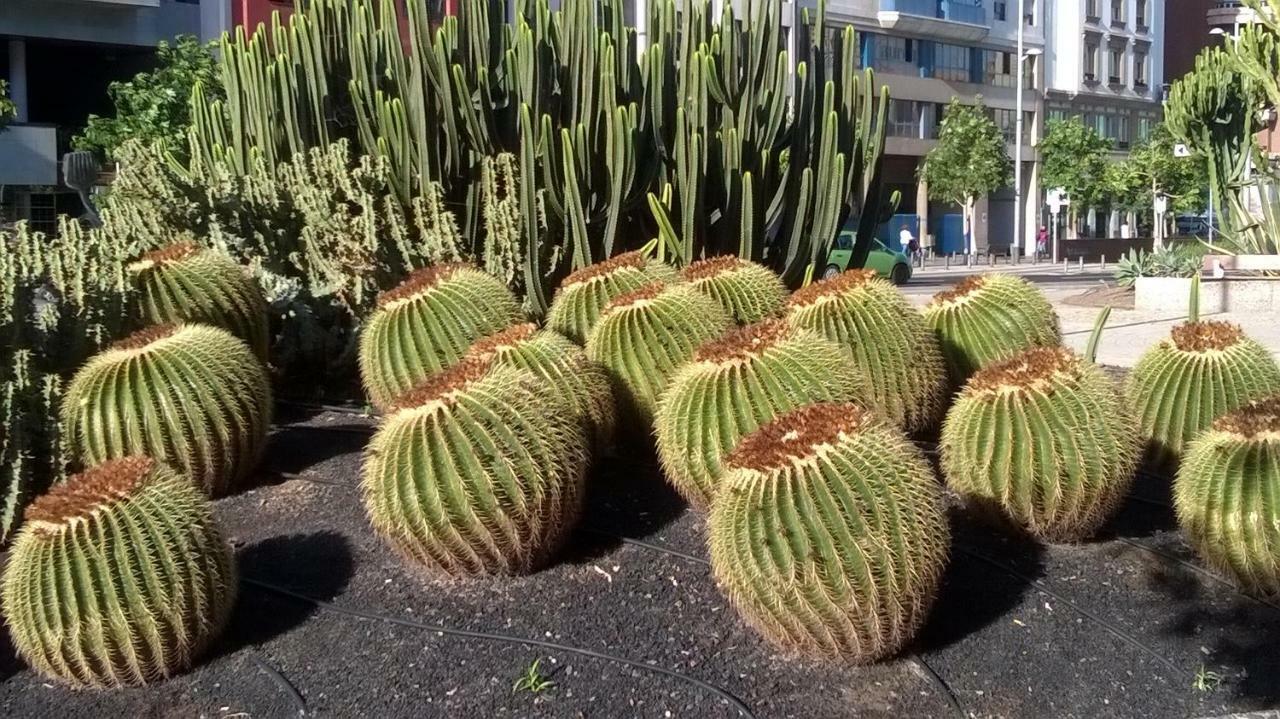 Apartmán Al Golpito Las Palmas de Gran Canaria Exteriér fotografie